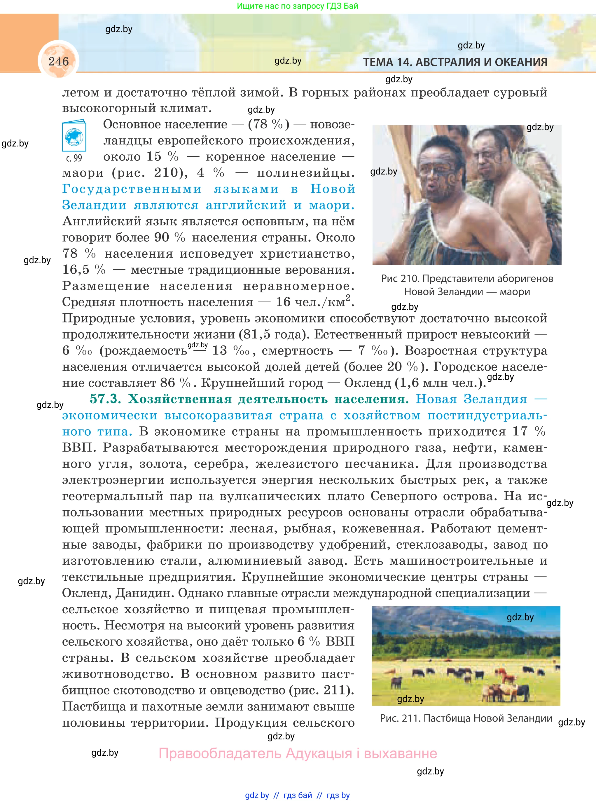 География, 8 класс Учебник, авторы: Лопух Пётр Степанович, Стреха Николай Леонидович, Сарычева Ольга Владимировна, Шандроха Андрей Генадьевич, издательство Адукацыя i выхаванне, Минск, 2019, страница 246