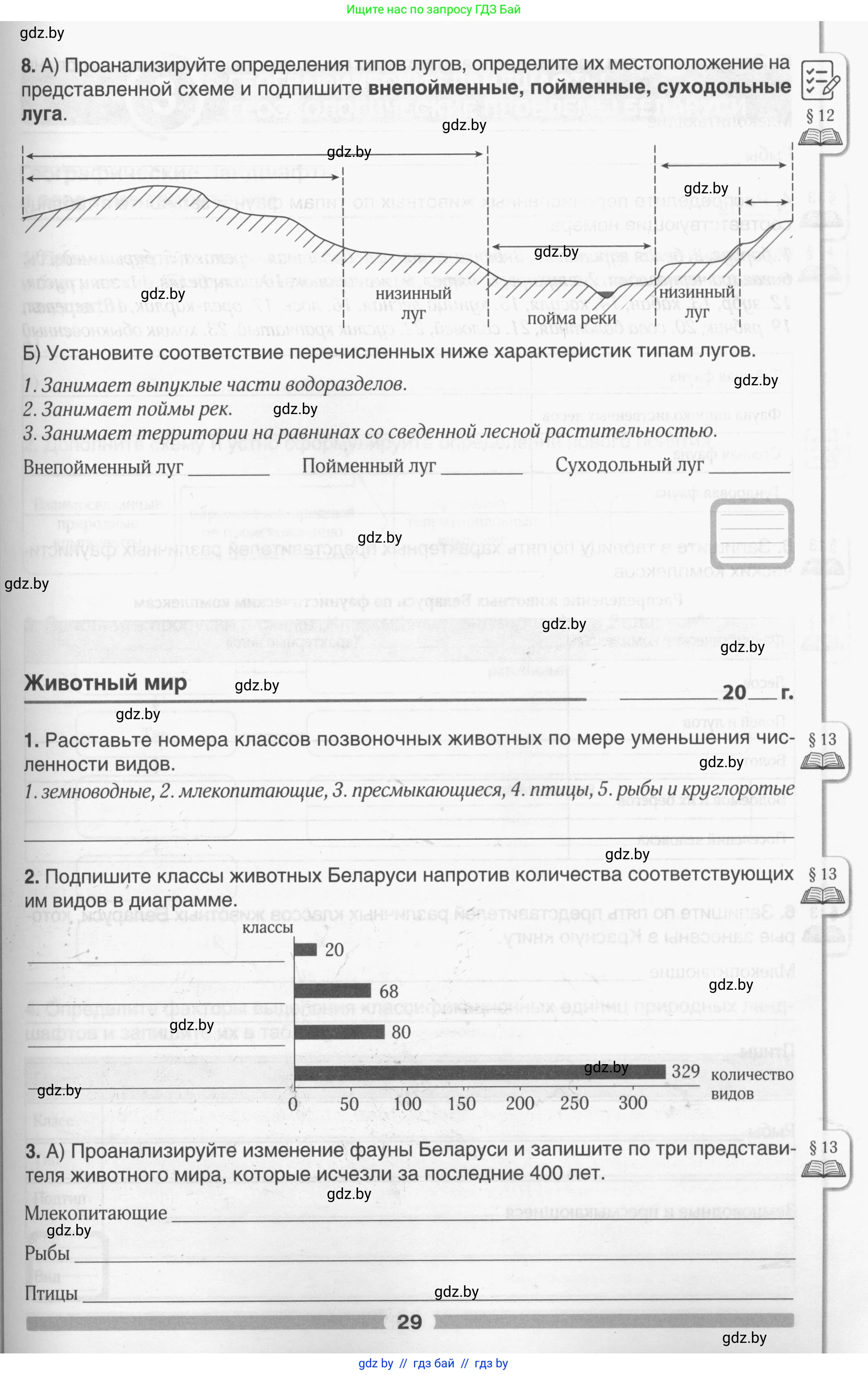 География, 9 класс рабочая тетрадь, авторы: Брилевский Михаил Николаевич, Климович Алеся Владимировна, издательство Белкартография, Минск, 2021, бирюзового цвета, страница 29