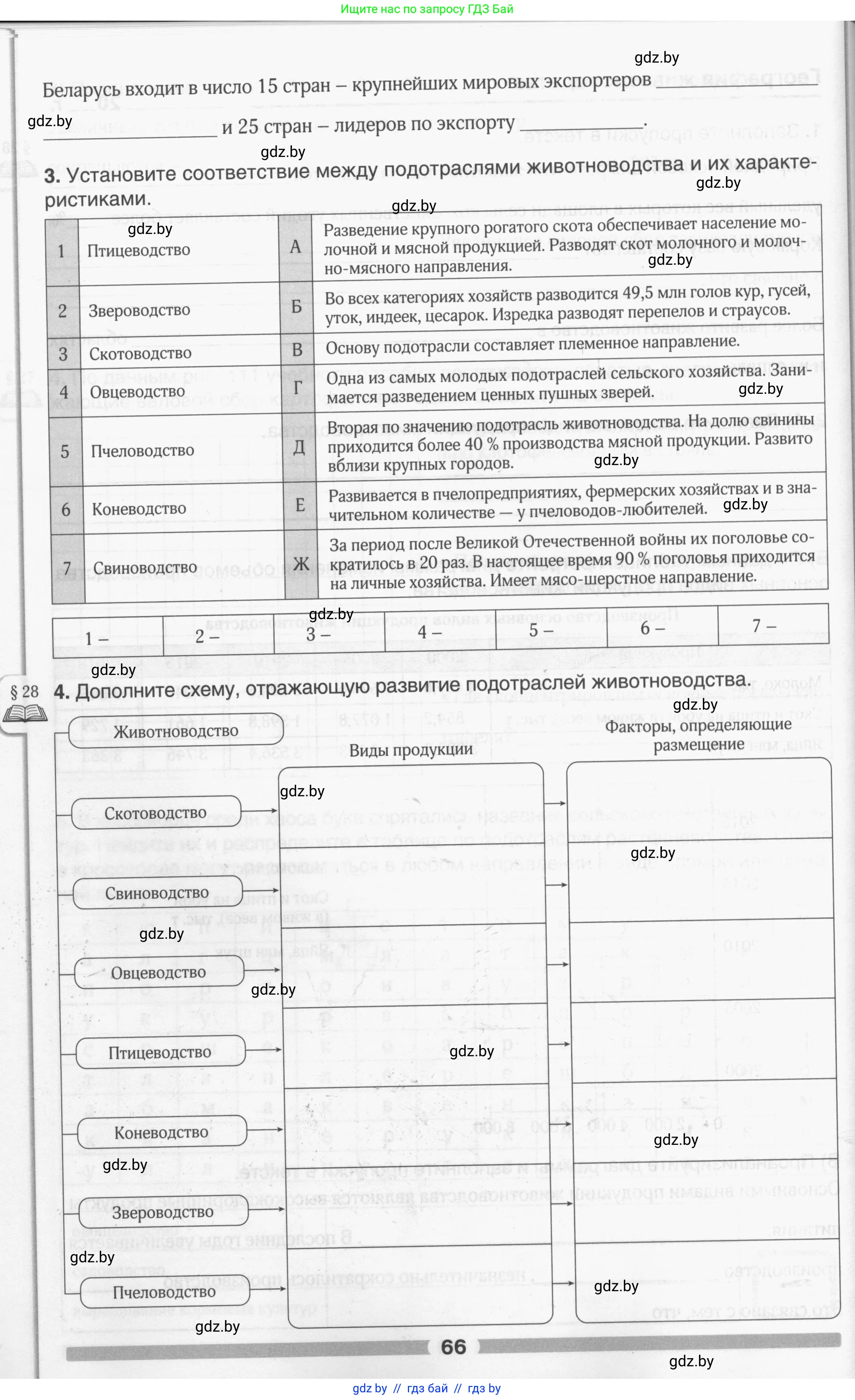 География, 9 класс рабочая тетрадь, авторы: Брилевский Михаил Николаевич, Климович Алеся Владимировна, издательство Белкартография, Минск, 2021, бирюзового цвета, страница 66