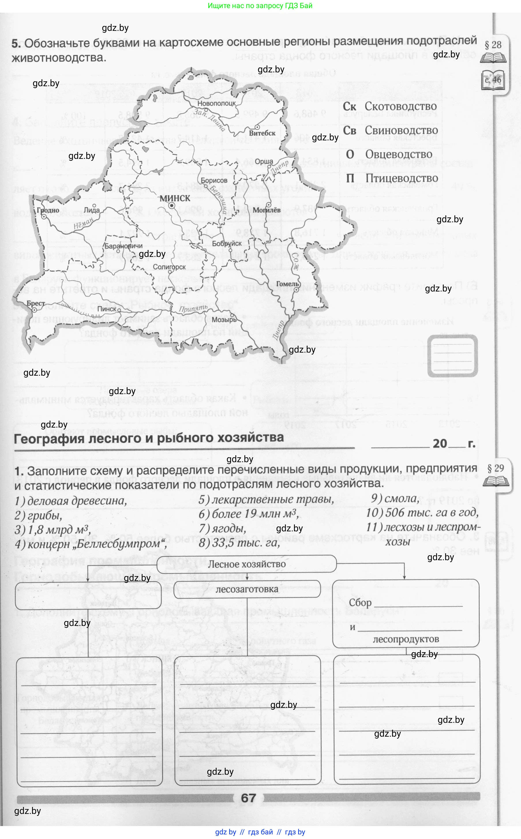 География, 9 класс рабочая тетрадь, авторы: Брилевский Михаил Николаевич, Климович Алеся Владимировна, издательство Белкартография, Минск, 2021, бирюзового цвета, страница 67