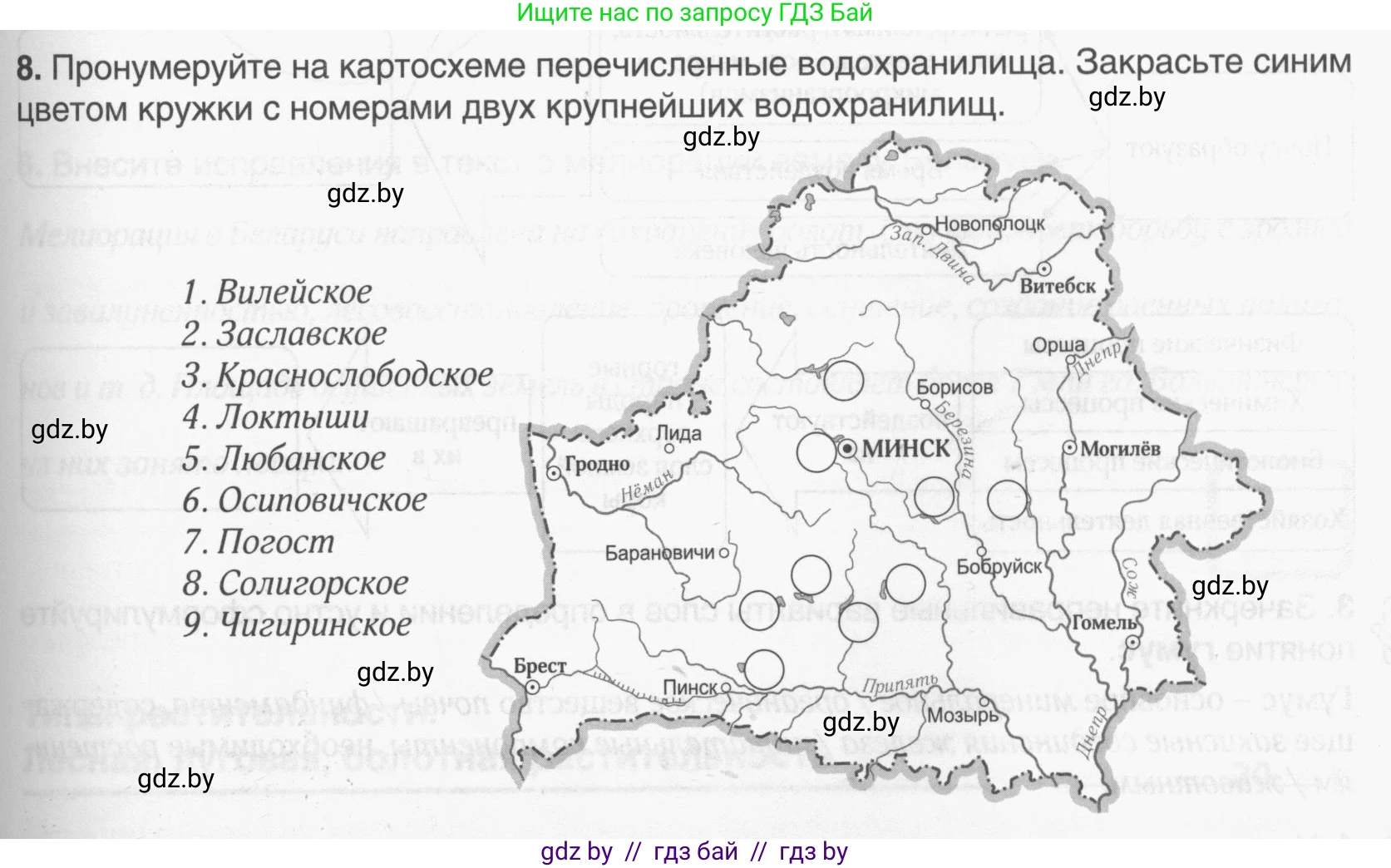 География, 9 класс рабочая тетрадь, авторы: Брилевский Михаил Николаевич, Климович Алеся Владимировна, издательство Белкартография, Минск, 2021, бирюзового цвета, страница 25, номер 8, Условие
