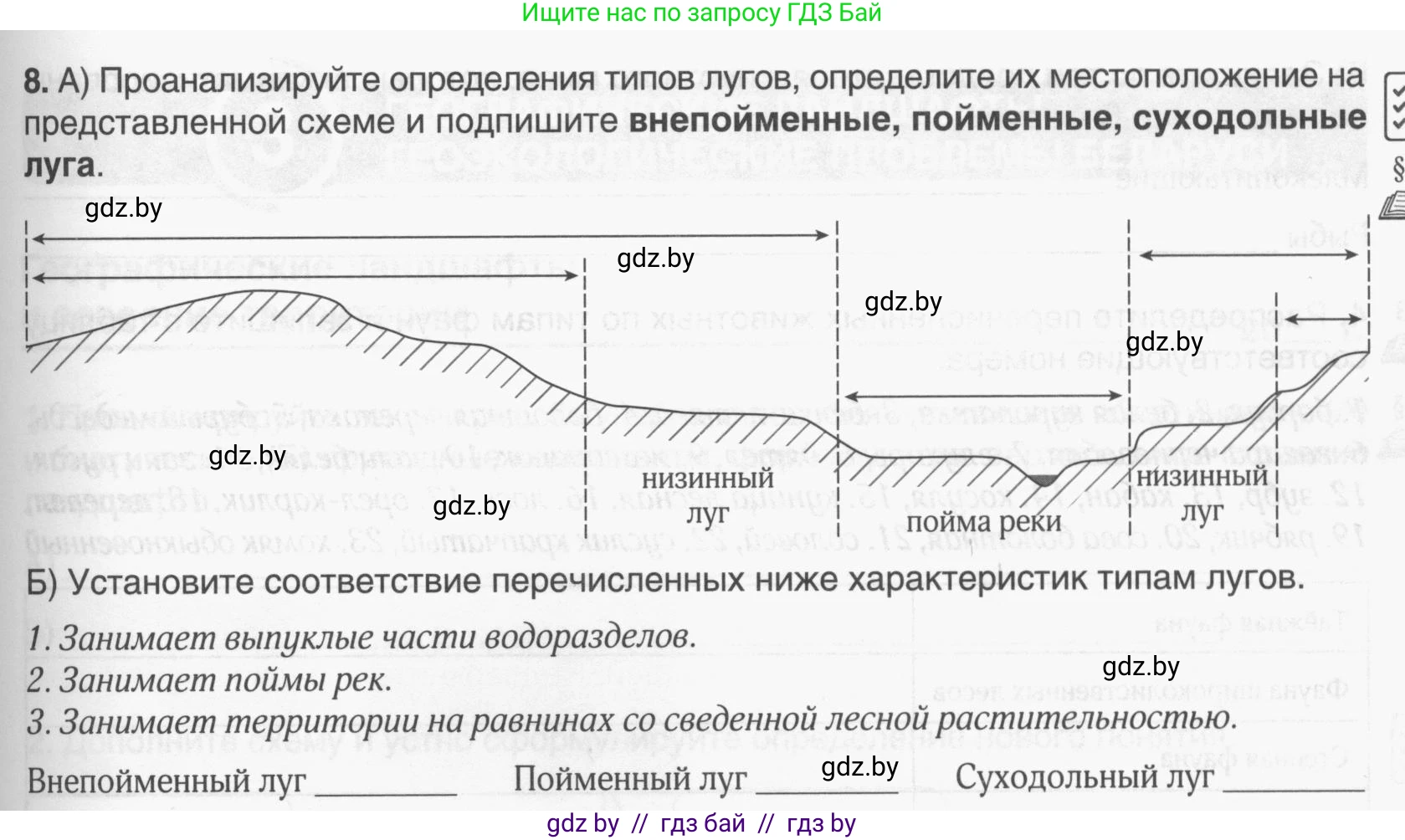 География, 9 класс рабочая тетрадь, авторы: Брилевский Михаил Николаевич, Климович Алеся Владимировна, издательство Белкартография, Минск, 2021, бирюзового цвета, страница 29, номер 8, Условие