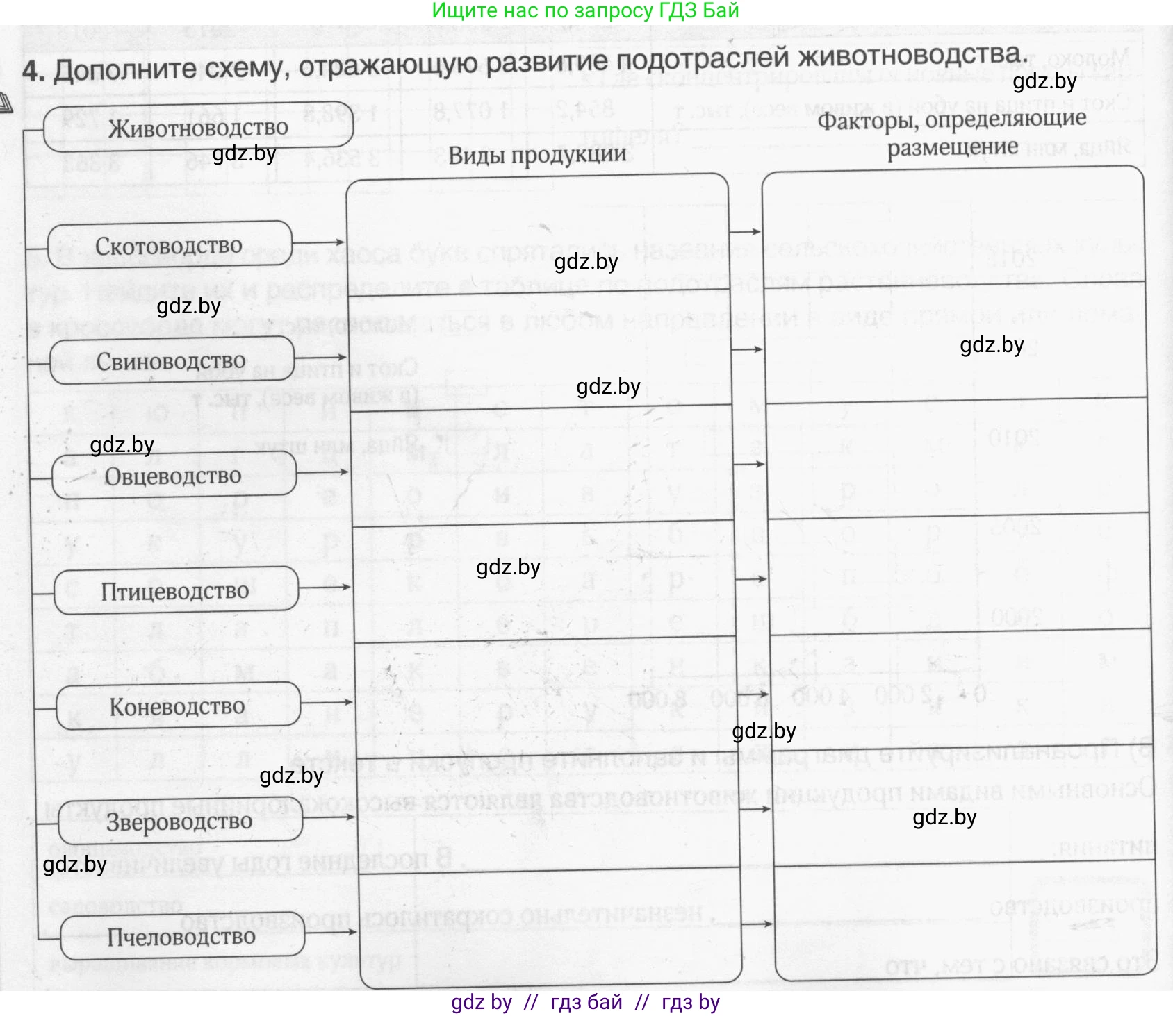 География, 9 класс рабочая тетрадь, авторы: Брилевский Михаил Николаевич, Климович Алеся Владимировна, издательство Белкартография, Минск, 2021, бирюзового цвета, страница 66, номер 4, Условие