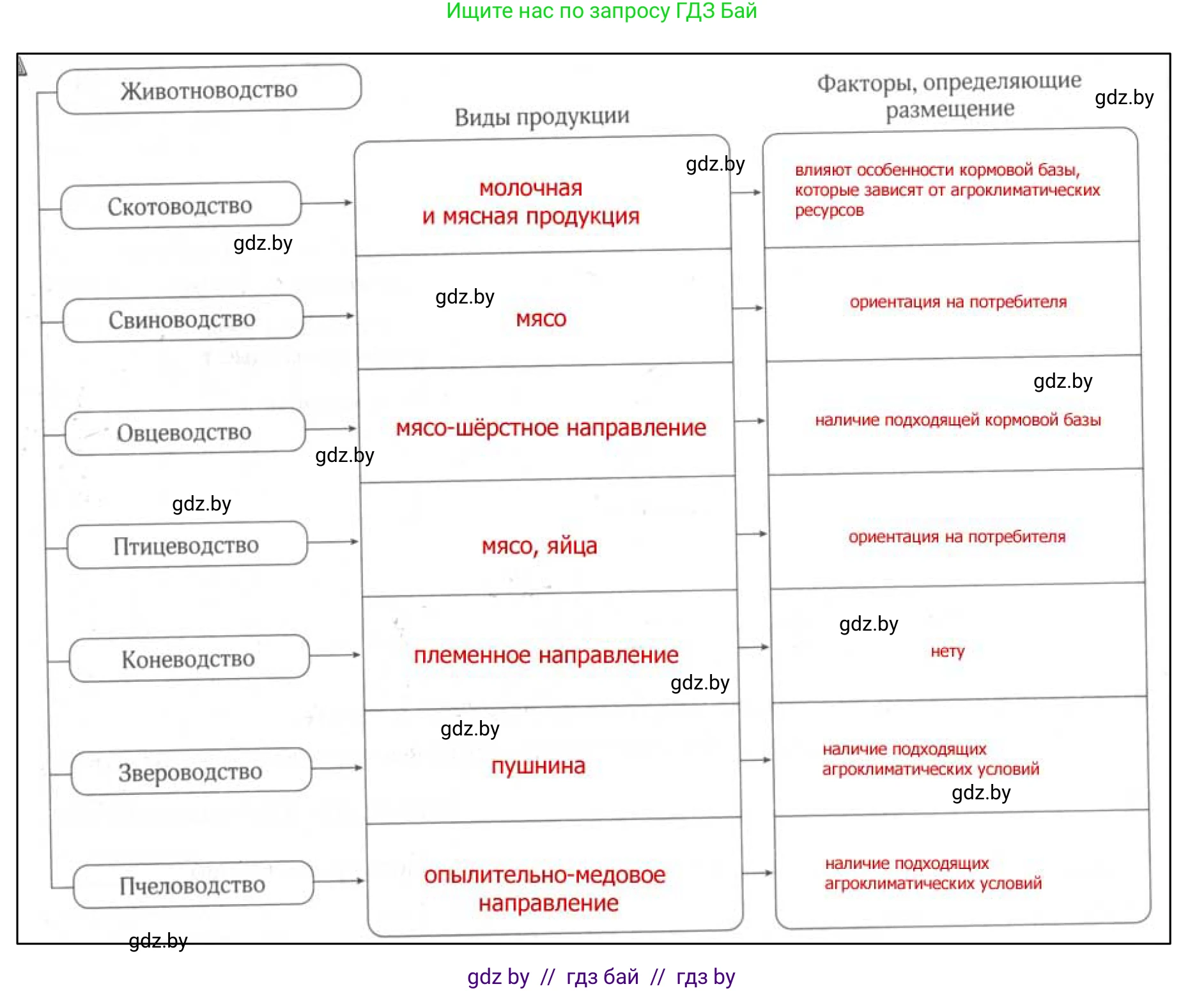 География, 9 класс рабочая тетрадь, авторы: Брилевский Михаил Николаевич, Климович Алеся Владимировна, издательство Белкартография, Минск, 2021, бирюзового цвета, страница 66, номер 4, Решение (продолжение 2)