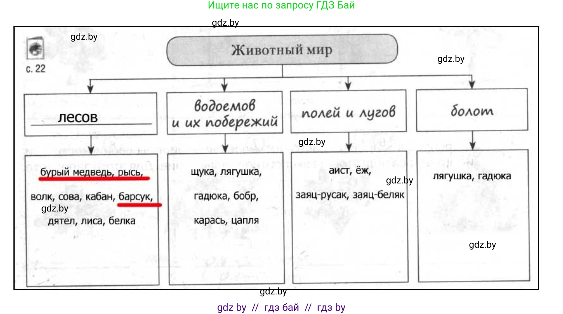 География, 9 класс тетрадь для практических и самостоятельных работ, авторы: Кольмакова Елена Генадьевна, Пикулик Валентина Владимировна, Сарычева Ольга Владимировна, издательство Аверсэв, Минск, 2020, страница 22, номер 7, Решение
