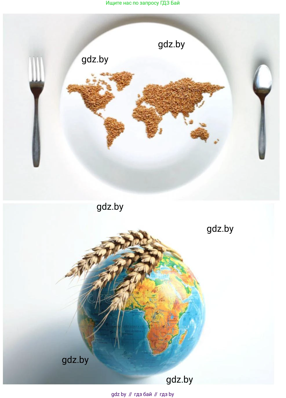 География, 11 класс рабочая тетрадь, авторы: Кольмакова Елена Генадьевна, Тарасенок Елена Николаевна, Сарычева Ольга Владимировна, издательство Аверсэв, Минск, 2022, голубого цвета, страница 84, Решение (продолжение 2)