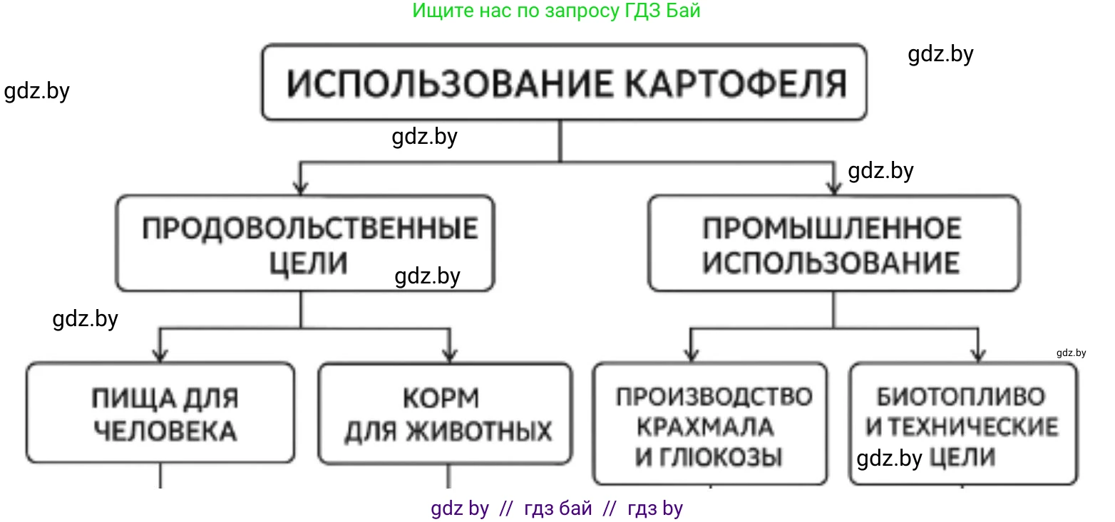 География, 8 класс Тетрадь для практических работ и индивидуальных заданий, авторы: Витченко Александр Николаевич, Антипова Екатерина Анатольевна, Станкевич Наталья Григорьевна, издательство Аверсэв, Минск, 2024, страница 30, номер 6, Решение