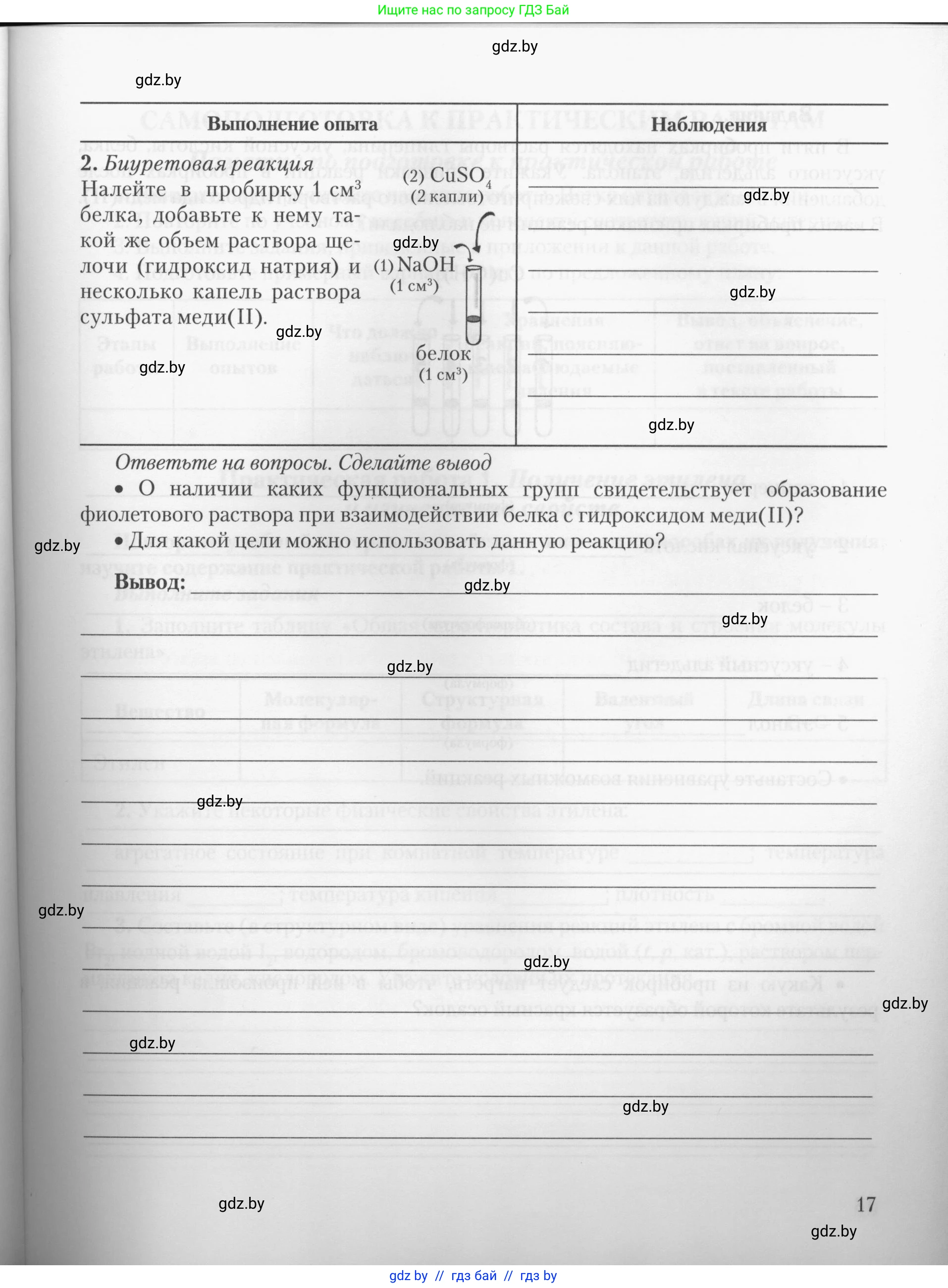 Химия, 10 класс Тетрадь для практических работ, автор: Борушко Ирина Ивановна, издательство Сэр-Вит, Минск, 2020, голубого цвета, страница 17