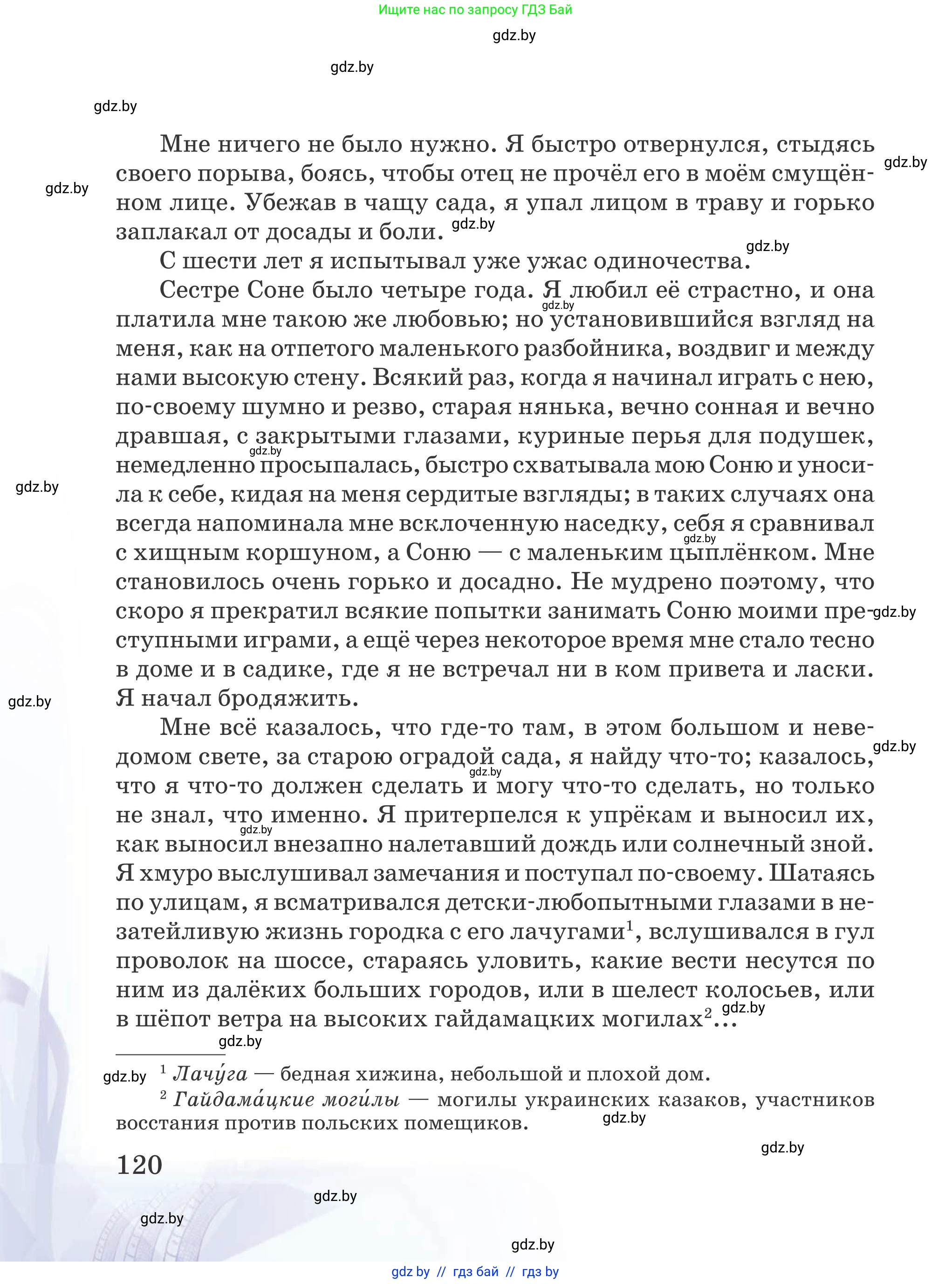 Русская литература, 5 класс Учебник, авторы: Мушинская Тамара Фёдоровна, Перевозная Евгения Васильевна, Каратай Светлана Николаевна, Гаранина Алла Ивановна, издательство Национальный институт образования, Минск, 2019, розового цвета, страница 120