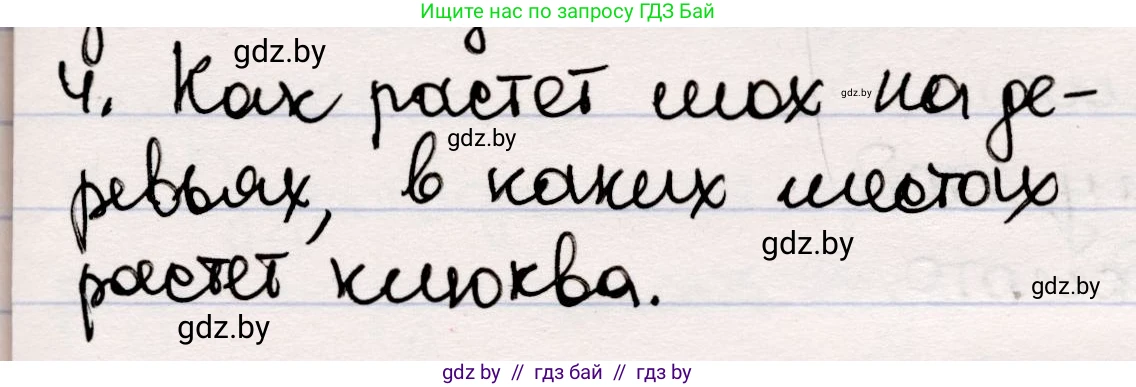 Русская литература, 5 класс Учебник, авторы: Мушинская Тамара Фёдоровна, Перевозная Евгения Васильевна, Каратай Светлана Николаевна, Гаранина Алла Ивановна, издательство Национальный институт образования, Минск, 2019, розового цвета, Часть 2, страница 37, номер 4, Решение