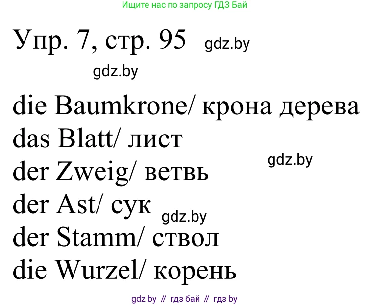 Немецкий язык (Deutsch), 6 класс рабочая тетрадь (arbeitsheft), авторы: Будько Антонина Филипповна (Budjko Antonina), Урбанович Инна Ювинальевна (Urbanowitsch Ina), издательство Аверсэв, Минск, 2020, красного цвета, страница 95, номер 7, Решение