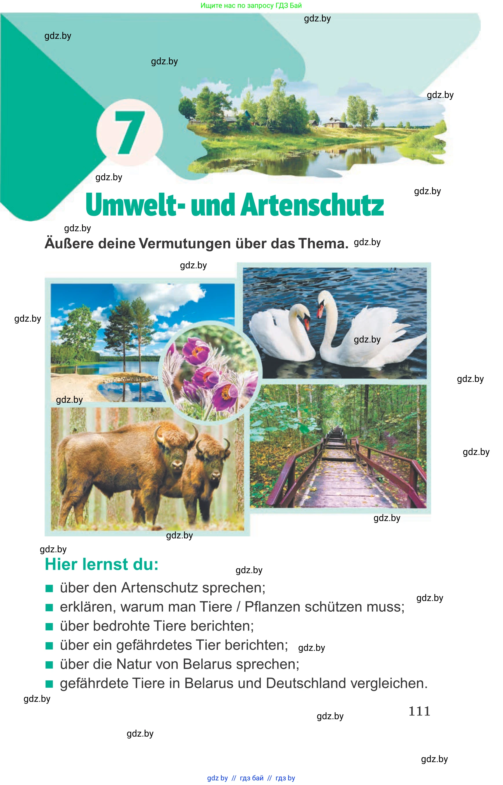 Немецкий язык (Deutsch), 6 класс Учебник (Schülerbuch), авторы: Зуевская Елена Викторовна, Салынская Светлана Ивановна, Негурэ Ольга Вячеславовна, издательство Вышэйшая школа, Минск, 2022, жёлтого цвета, страница 111