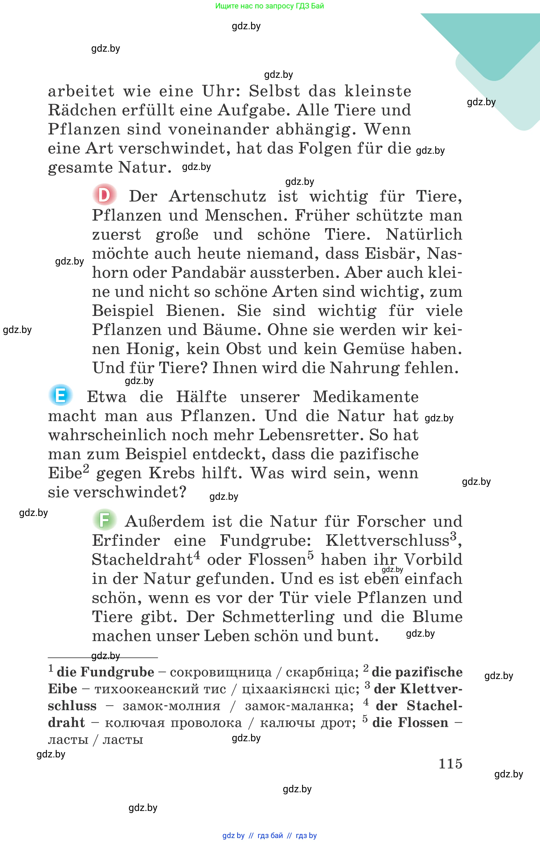 Немецкий язык (Deutsch), 6 класс Учебник (Schülerbuch), авторы: Зуевская Елена Викторовна, Салынская Светлана Ивановна, Негурэ Ольга Вячеславовна, издательство Вышэйшая школа, Минск, 2022, жёлтого цвета, страница 115