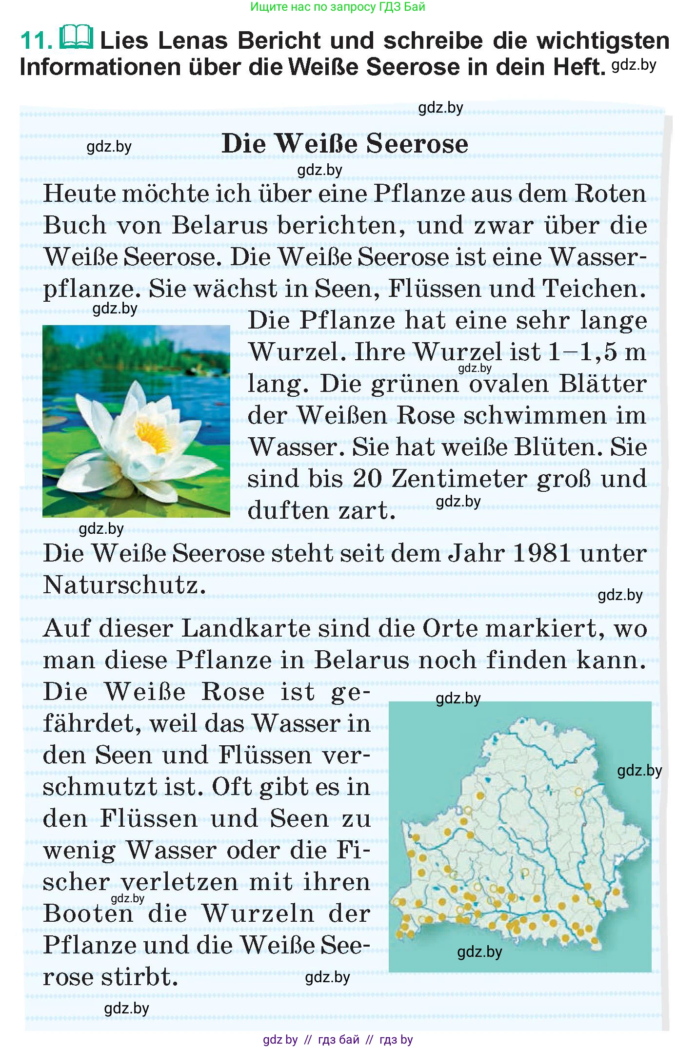 Немецкий язык (Deutsch), 6 класс Учебник (Schülerbuch), авторы: Зуевская Елена Викторовна, Салынская Светлана Ивановна, Негурэ Ольга Вячеславовна, издательство Вышэйшая школа, Минск, 2022, жёлтого цвета, Teil 2, страница 142, номер 11, Условие