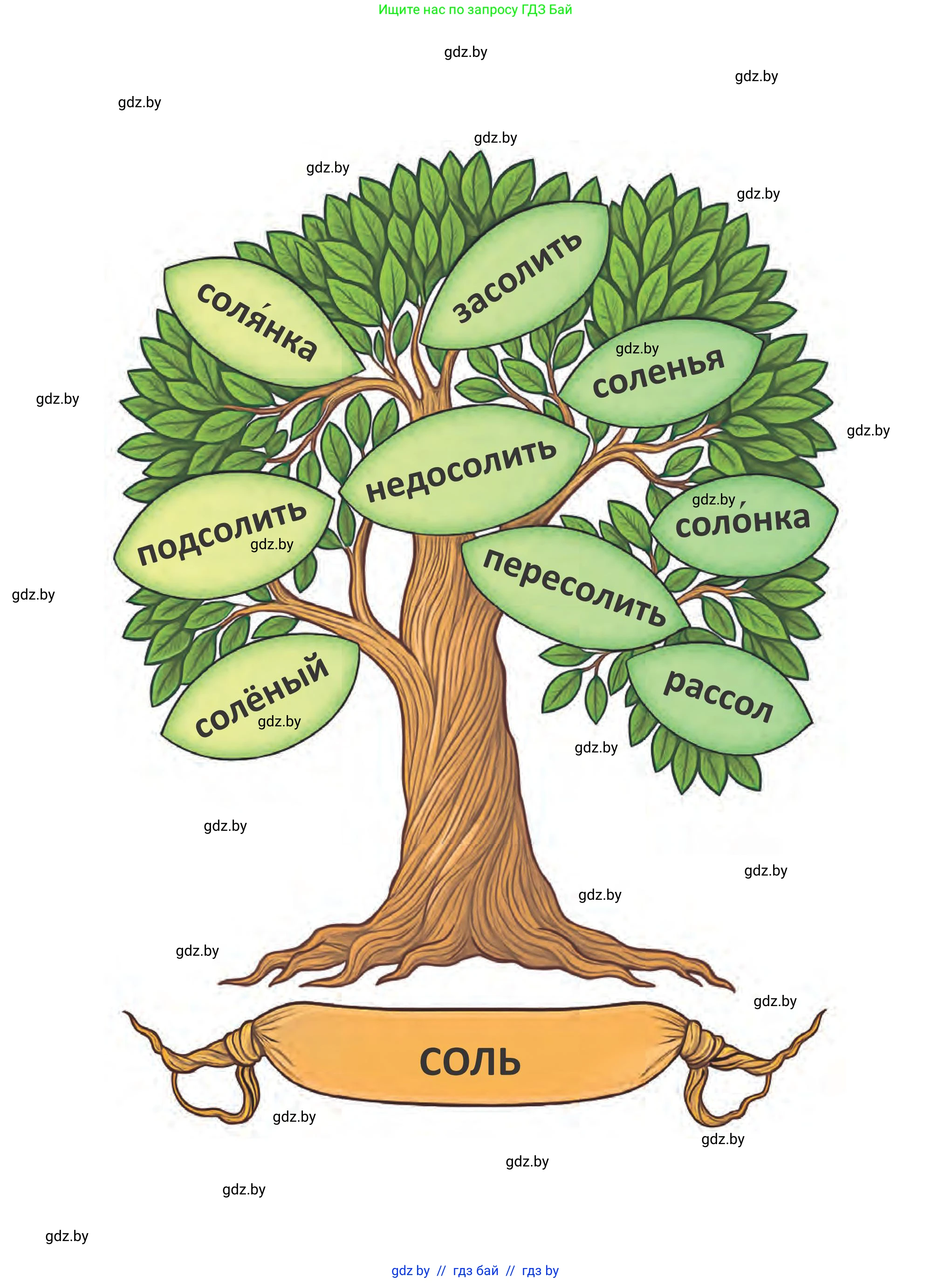 Русский язык, 2 класс Учебник, автор: Антипова Маргарита Борисовна, издательство Академия образования, Минск, 2025, 