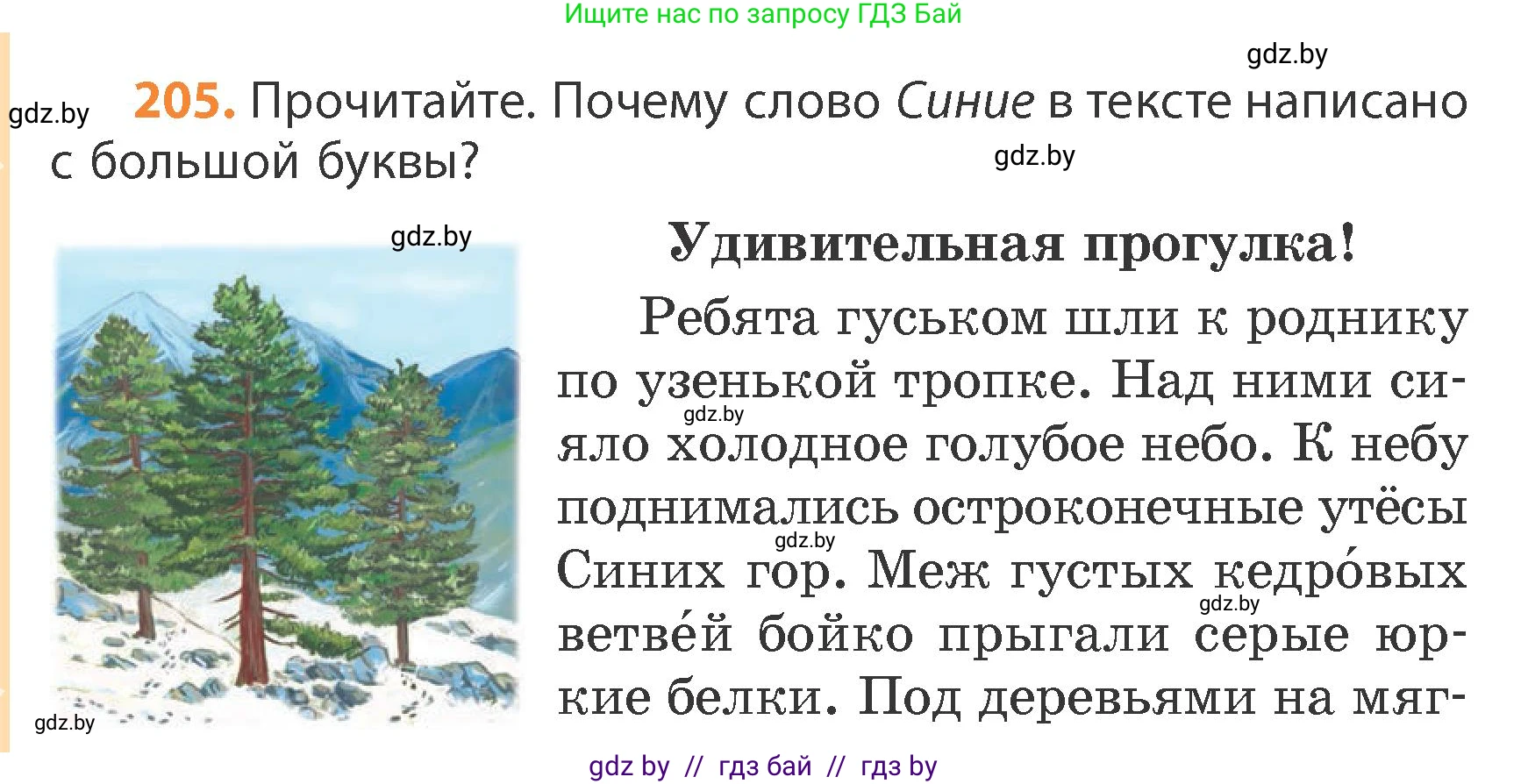 Русский язык, 4 класс Учебник, авторы: Антипова Маргарита Борисовна, Верниковская Алла Викторовна, Грабчикова Елена Самарьевна, издательство Академия образования, Минск, 2024, оранжевого цвета, Часть 1, страница 124, номер 205, Условие