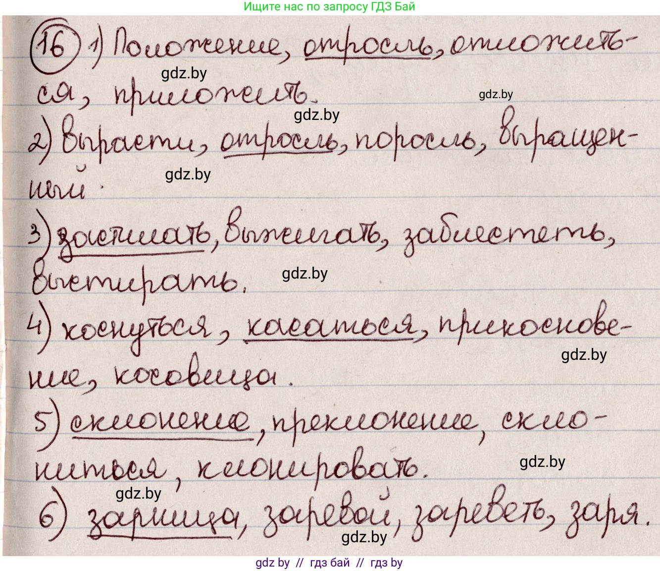 Русский язык, 6 класс Учебник, авторы: Мурина Лариса Александровна, Игнатович Татьяна Владимировна, Жадейко Жанна Фёдоровна, издательство Национальный институт образования, Минск, 2020, страница 12, номер 16, Решение 2