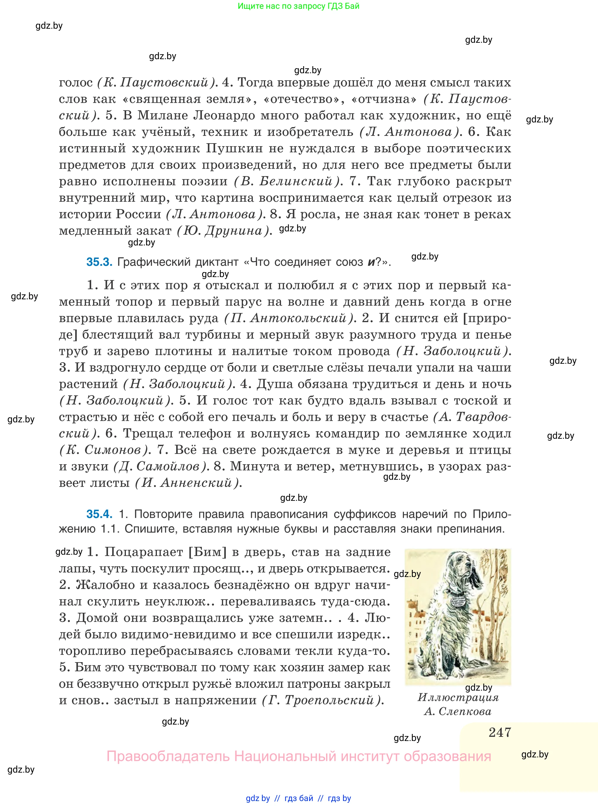 Русский язык, 11 класс Учебник, авторы: Долбик Елена Евгеньевна, Литвинко Франя Михайловна, Мурина Лариса Александровна, Шиманович Т В, Таяновская И В, Орловская О Я, издательство Национальный институт образования, Минск, 2021, страница 247